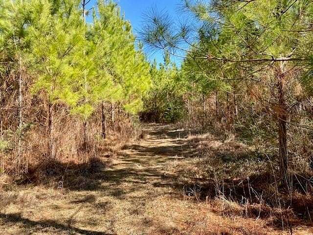 4.6 Acres of Residential Land for Sale in Summit, Mississippi