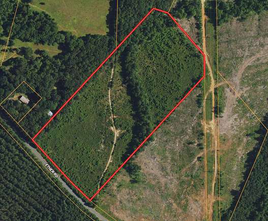 20.06 Acres of Land for Sale in Star, North Carolina