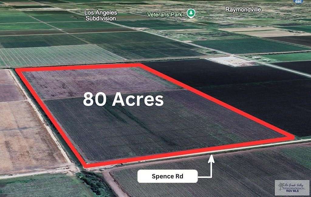 80 Acres of Agricultural Land for Sale in Raymondville, Texas