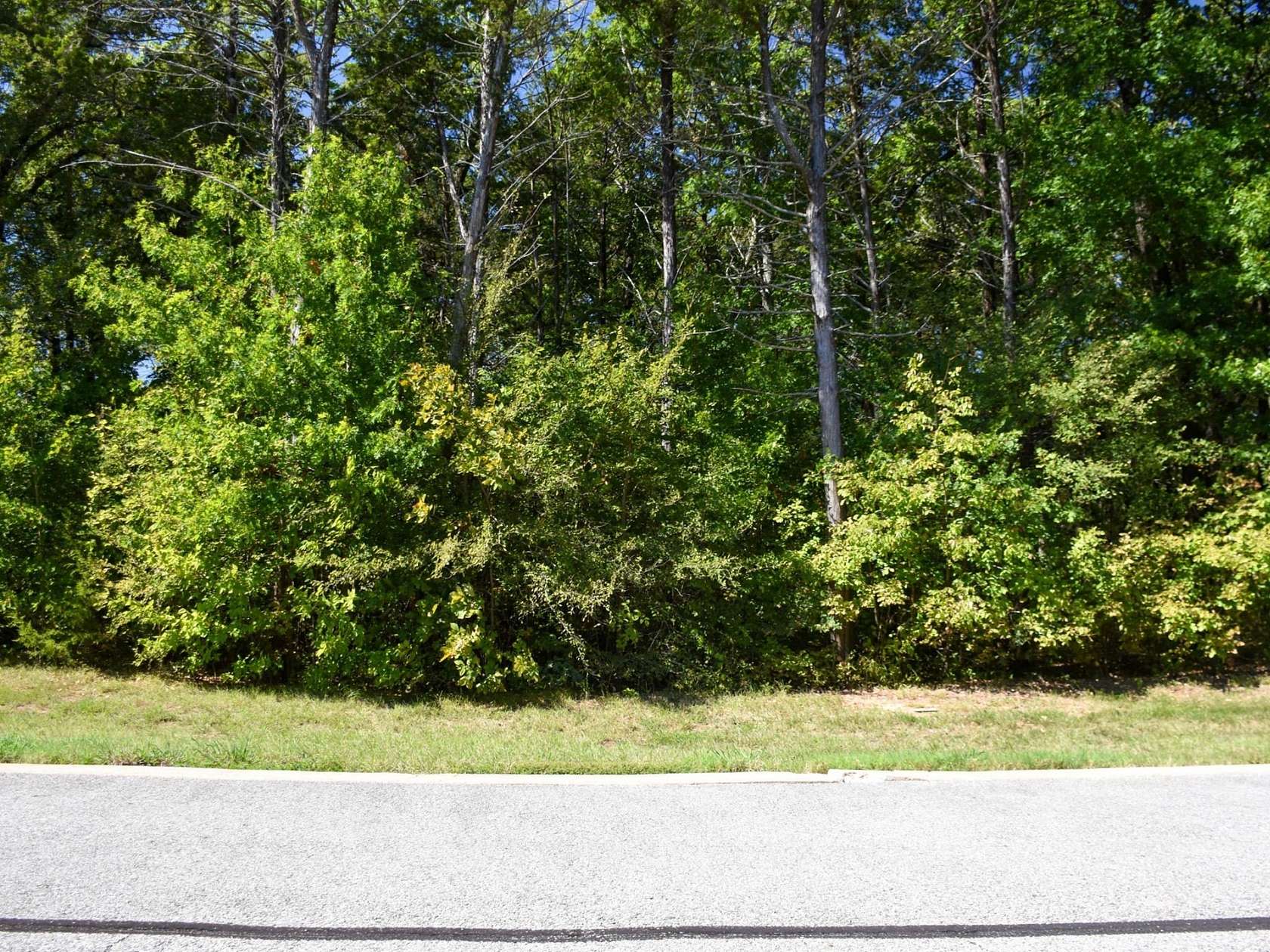 0.16 Acres of Residential Land for Sale in Gordonville, Texas