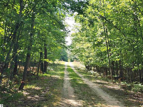 10.1 Acres of Recreational Land for Sale in Spruce, Michigan