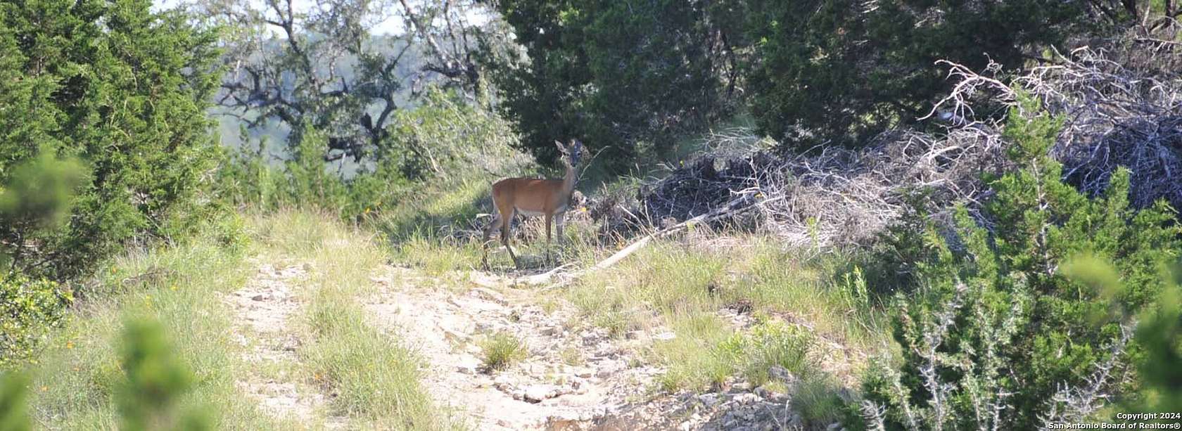 1.2 Acres of Residential Land for Sale in Canyon Lake, Texas