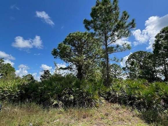 0.29 Acres of Residential Land for Sale in Lehigh Acres, Florida