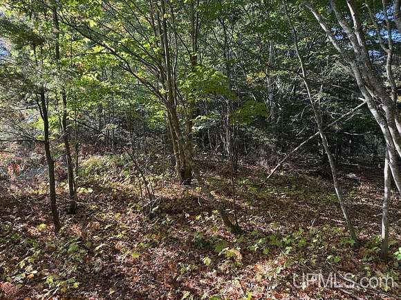 40.91 Acres of Land for Sale in Grand Marais, Michigan