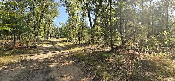 9.96 Acres of Residential Land for Sale in Newaygo, Michigan