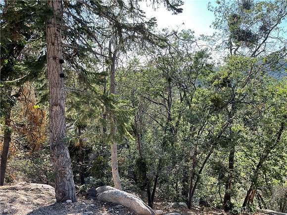 0.061 Acres of Land for Sale in Angelus Oaks, California