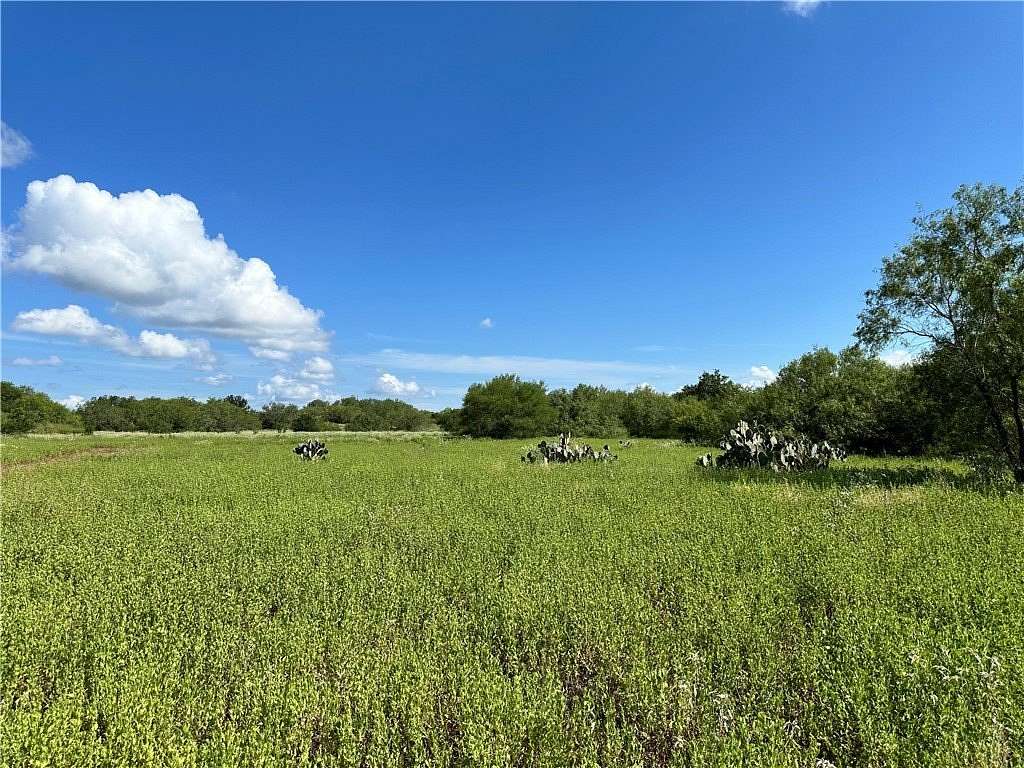 67 Acres of Recreational Land for Sale in Sandia, Texas