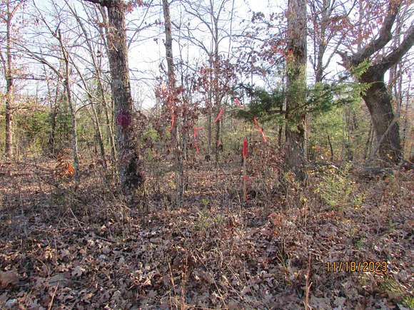 82 Acres of Recreational Land for Sale in Ravenden Springs, Arkansas