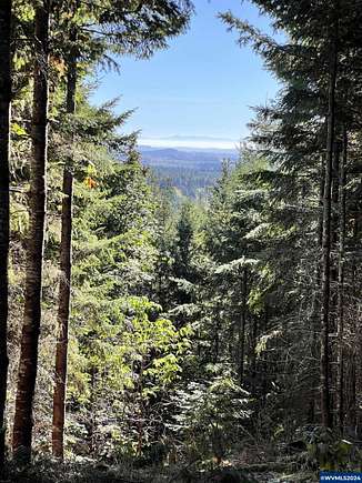 22.48 Acres of Recreational Land for Sale in Dallas, Oregon