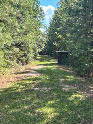 107 Acres of Recreational Land & Farm for Sale in Lake City, South Carolina