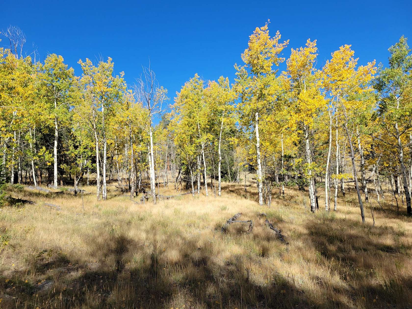 3.22 Acres of Residential Land for Sale in Hartsel, Colorado