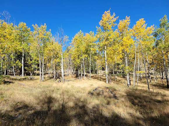 3.22 Acres of Residential Land for Sale in Hartsel, Colorado