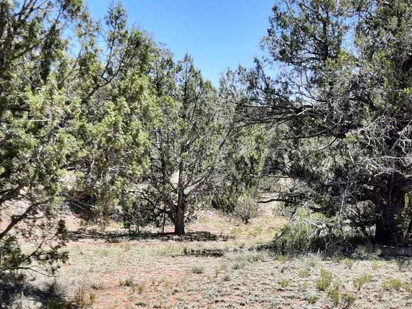 7.09 Acres of Agricultural Land for Sale in Seligman, Arizona