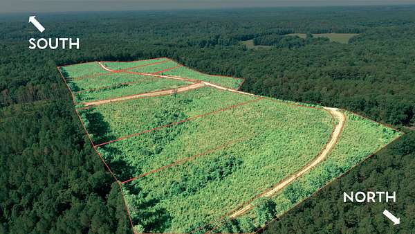 3 Acres of Residential Land for Sale in Cypress Inn, Tennessee