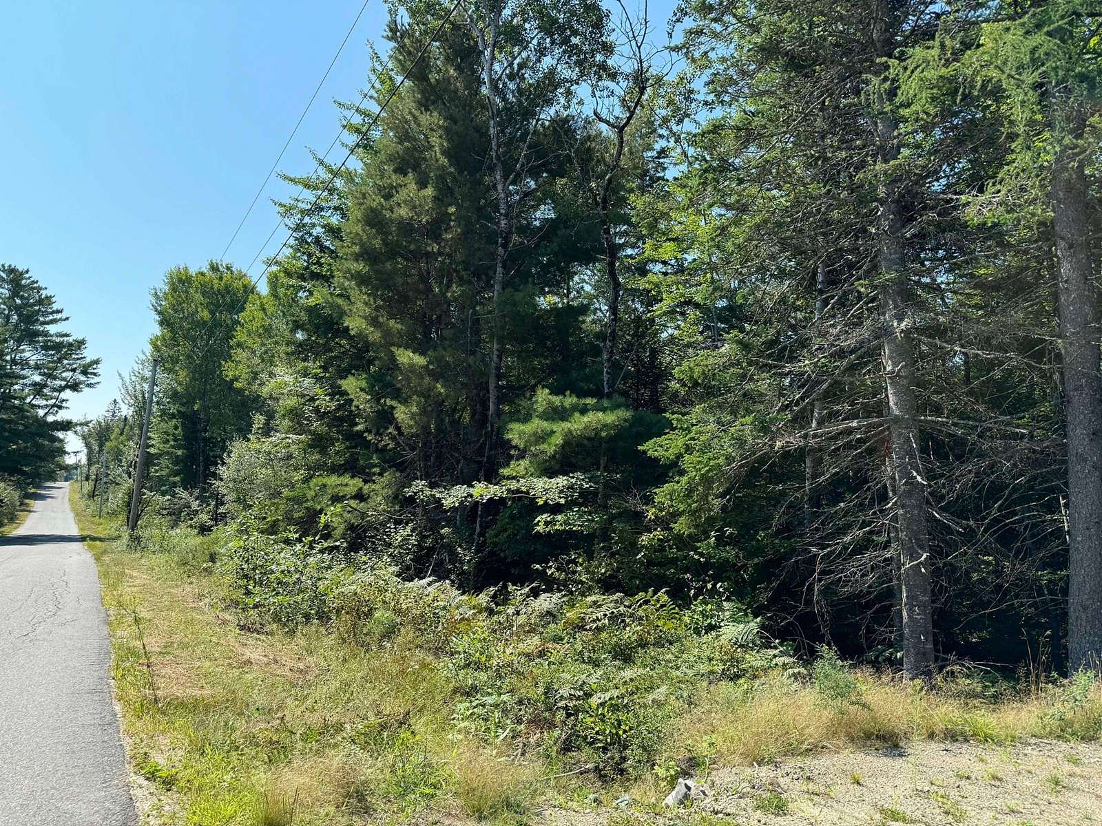 21 Acres of Recreational Land & Farm for Sale in Harrington, Maine