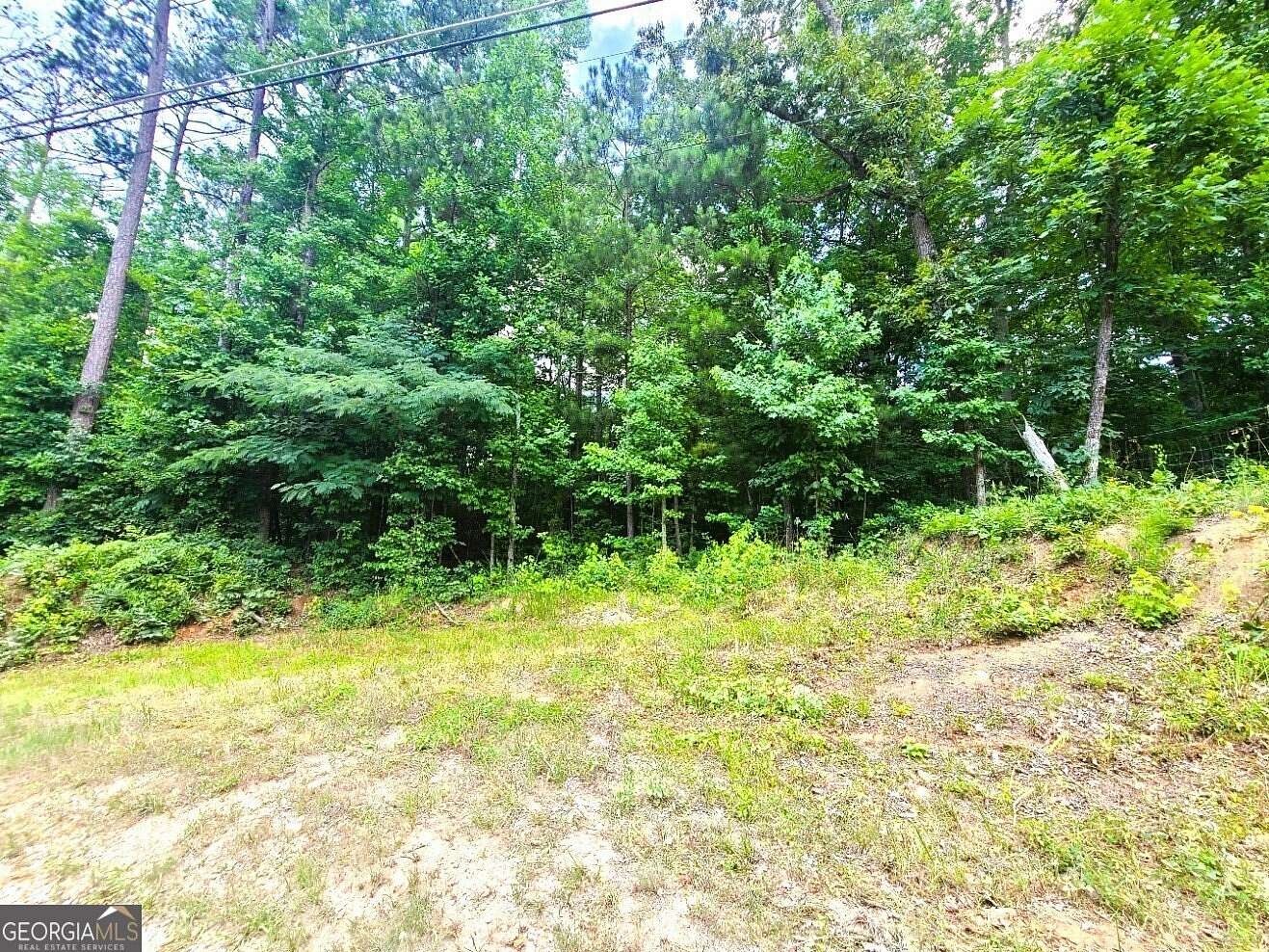 2 Acres of Residential Land for Sale in Fayetteville, Georgia