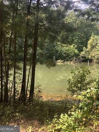 45.08 Acres of Recreational Land for Sale in Buckhead, Georgia