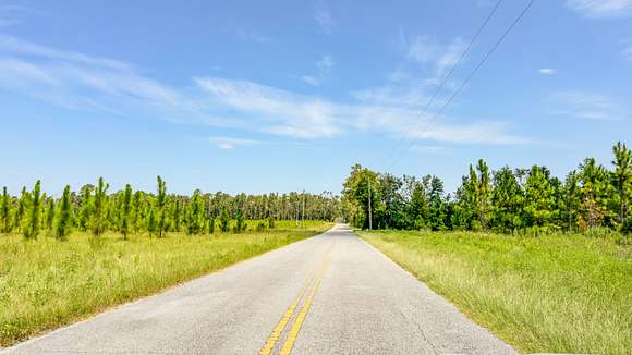 20 Acres of Land for Sale in Live Oak, Florida