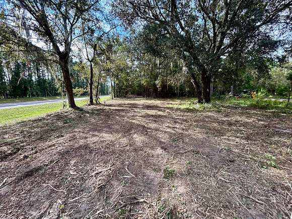 Freshly Mulched Clearing