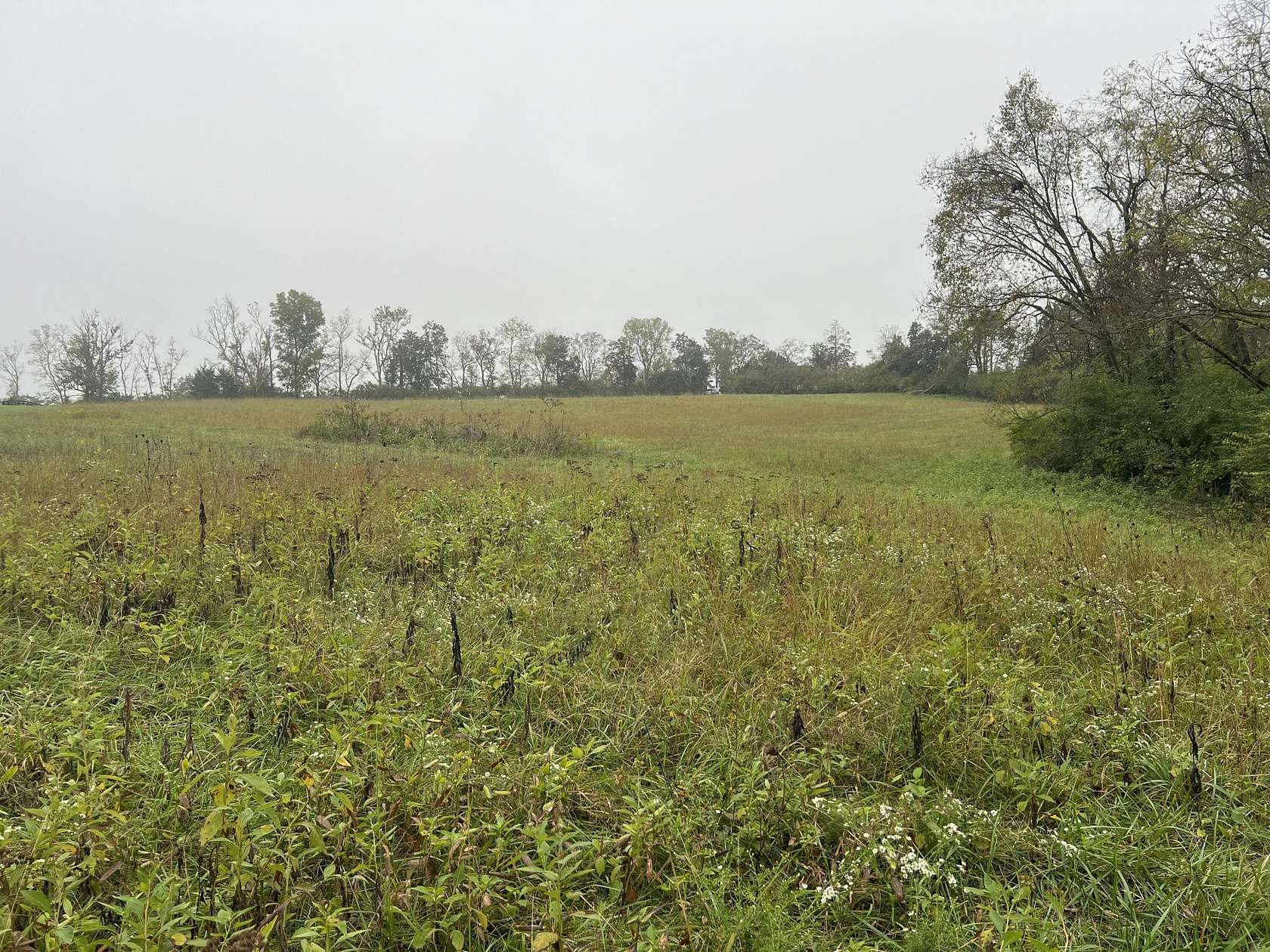 6.51 Acres of Residential Land for Sale in Versailles, Kentucky