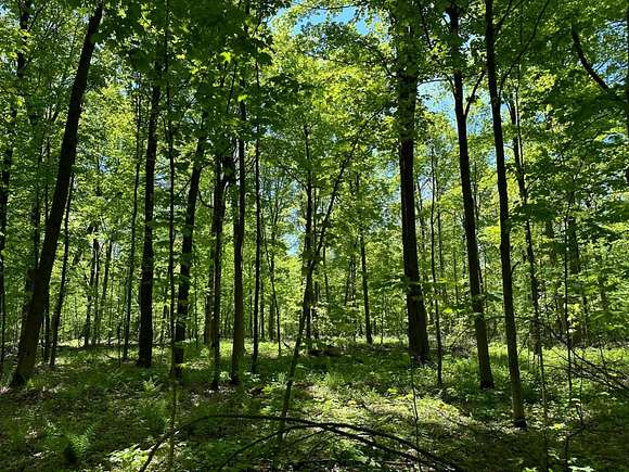 100 Acres of Recreational Land for Sale in Merrill, Wisconsin