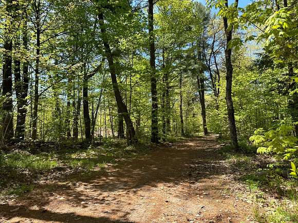 218.98 Acres of Recreational Land for Sale in Merrill, Wisconsin