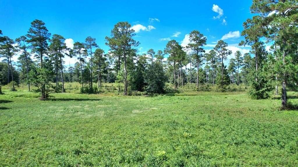 1 Acre of Residential Land for Sale in Cordele, Georgia