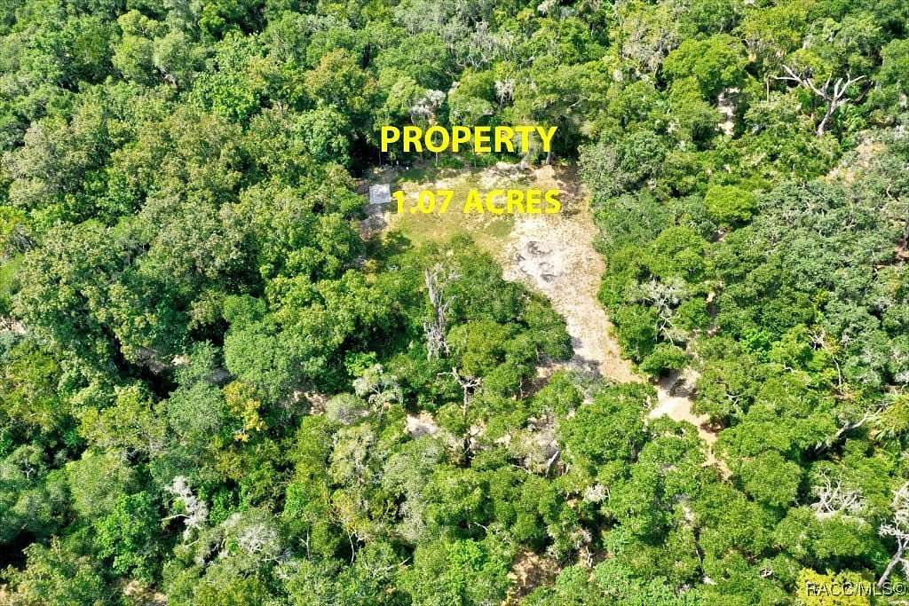 1 Acre of Residential Land for Sale in Inverness, Florida