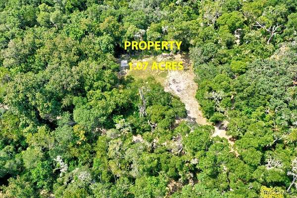 1 Acre of Residential Land for Sale in Inverness, Florida