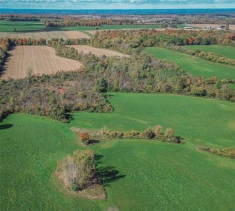 142.3 Acres of Land with Home for Sale in Scipio Town, New York