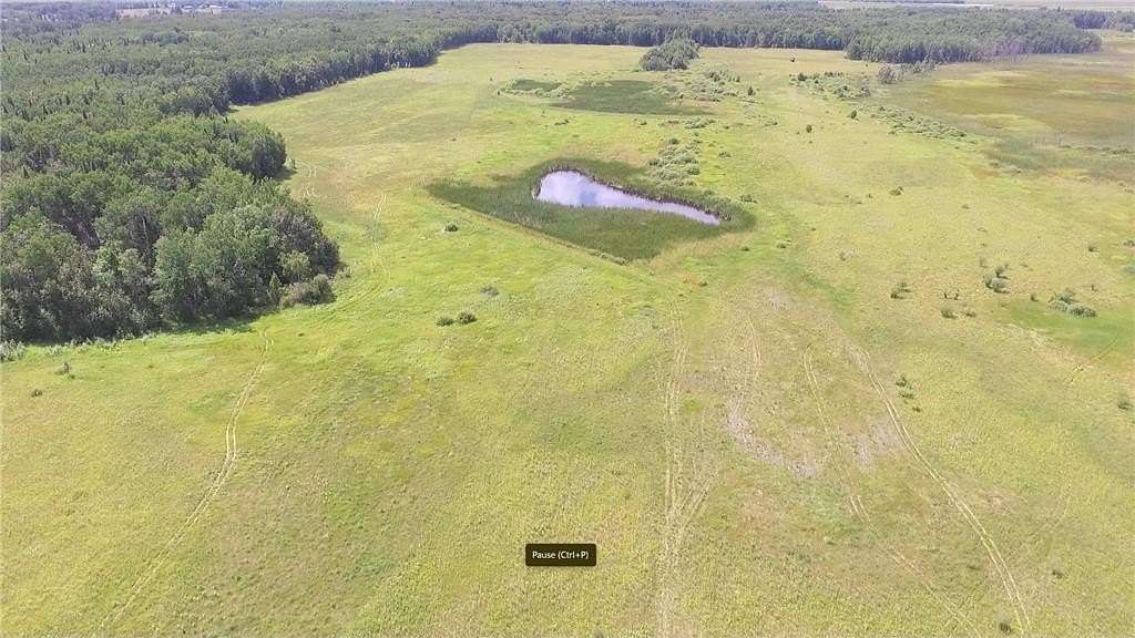 147.13 Acres of Recreational Land for Sale in Menahga, Minnesota