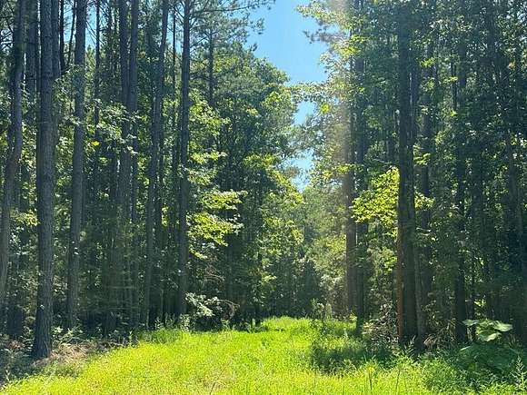 10 Acres of Land for Sale in Jasper, Arkansas