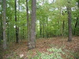 30 Acres of Recreational Land for Sale in Jasper, Arkansas