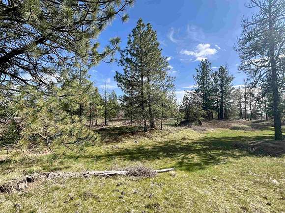 10 Acres of Residential Land for Sale in Reardan, Washington