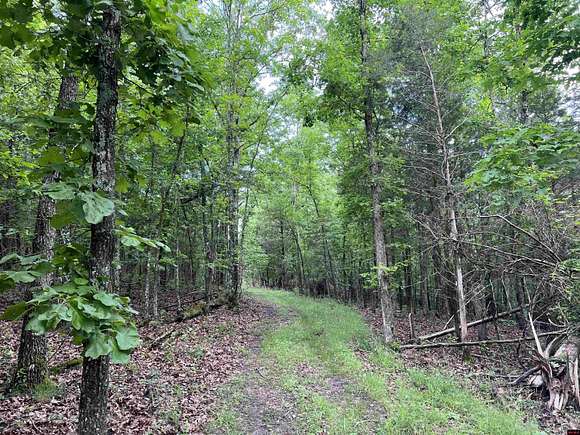 14.94 Acres of Land for Sale in Harrison, Arkansas