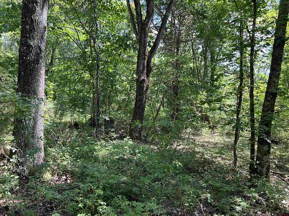 5.49 Acres of Land for Sale in Harrison, Arkansas