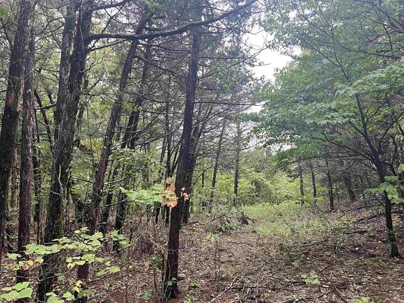 5 Acres of Land for Sale in Harrison, Arkansas