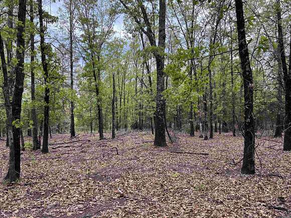 12 Acres of Land for Sale in St. Joe, Arkansas