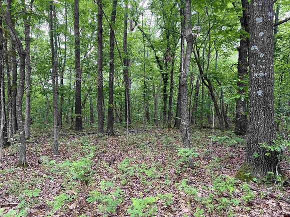 12 Acres of Land for Sale in Harrison, Arkansas