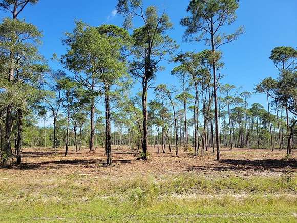 1.15 Acres of Residential Land for Sale in Panacea, Florida