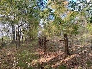 69.82 Acres of Recreational Land for Sale in Paris, Texas