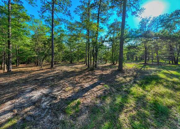 1.07 Acres of Residential Land for Sale in Brookeland, Texas