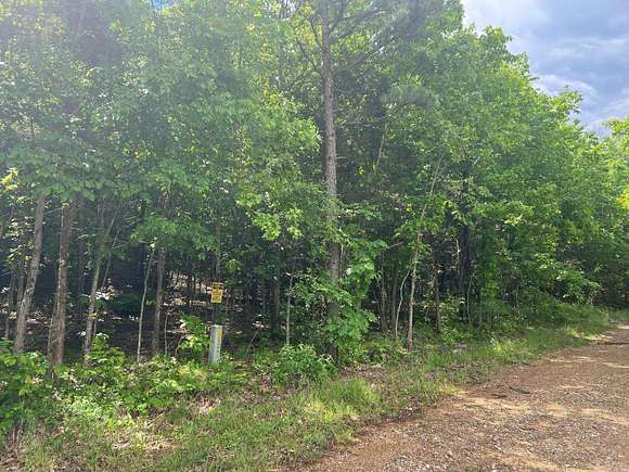 21.7 Acres of Land for Sale in Jasper, Arkansas