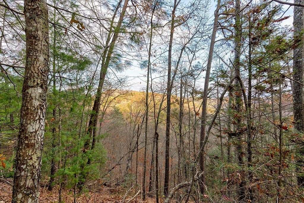 2.38 Acres of Residential Land for Sale in Sevierville, Tennessee