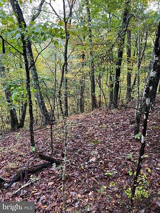 0.37 Acres of Land for Sale in Basye, Virginia