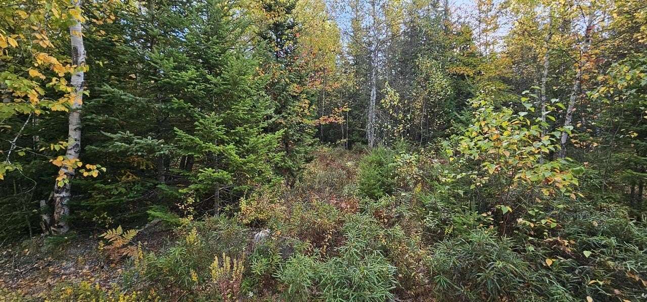 1.92 Acres of Residential Land for Sale in Franklin, Maine