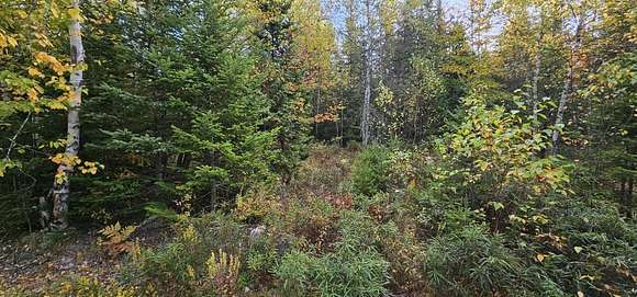 1.92 Acres of Residential Land for Sale in Franklin, Maine