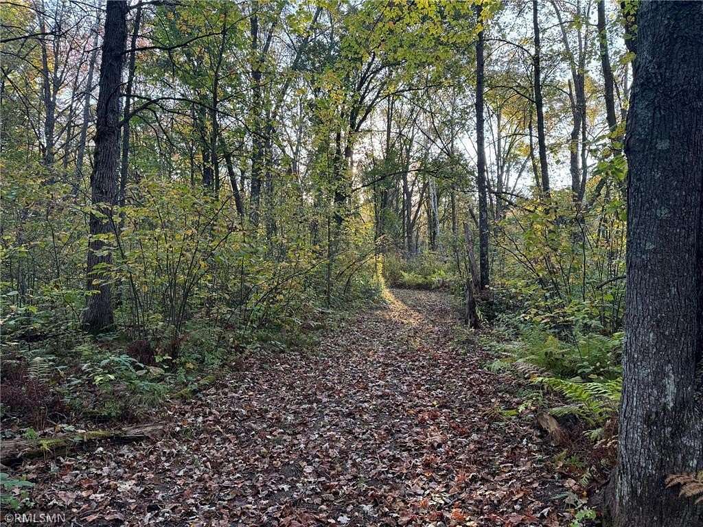 5.5 Acres of Residential Land for Sale in Whited Township, Minnesota