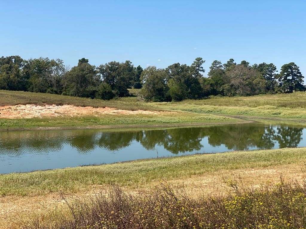 5 Acres of Residential Land for Sale in Centerville, Texas