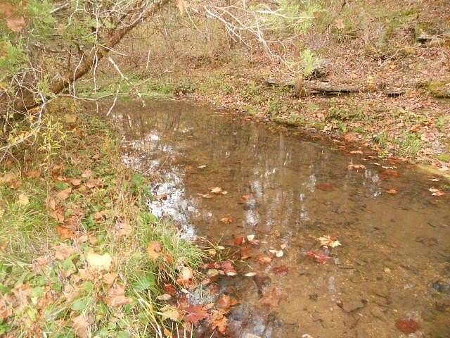 160 Acres of Recreational Land for Sale in Western Grove, Arkansas